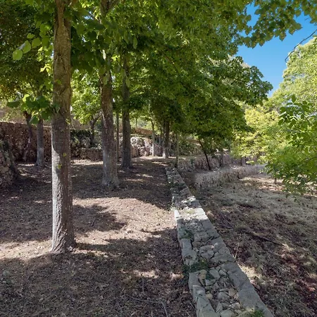 빌라 Trullo Klohi By Perle Di Puglia 세글리에 메사피카